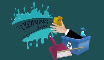 End Of Tenancy Cleaning Prices - 24234 species